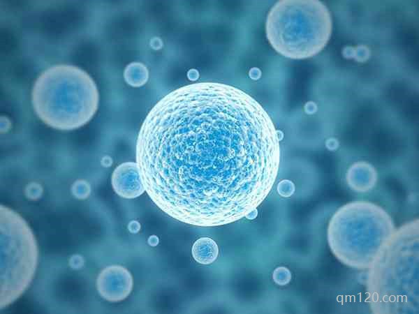 短效長方案是什么步驟