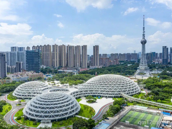 做試管佛山好還是廣州好