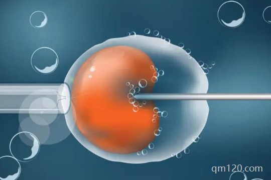 盛海琳60歲做試管是自己的卵嗎