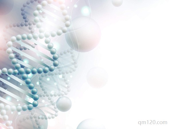 第三代試管嬰兒的流程與費用