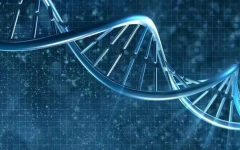 泰國(guó)試管技術(shù)為什么比國(guó)內(nèi)好