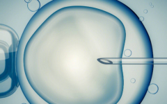 漳州市醫(yī)院做試管報(bào)價(jià)