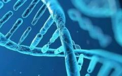 三代試管泰國好還是國內(nèi)好