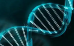 山東省中醫(yī)二附院試管嬰兒成功率是多少