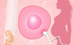 試管嬰兒女方遭罪嗎