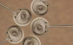 山東大學(xué)附屬生殖醫(yī)院試管嬰兒費(fèi)用價(jià)格表