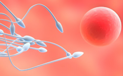 錦江南希醫(yī)院試管嬰兒的費用標準