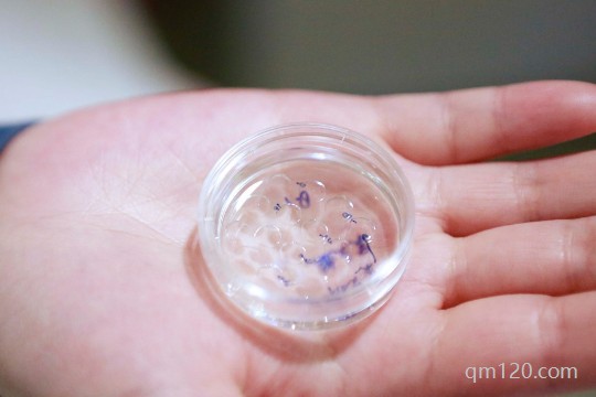 移植凍胚打亮丙瑞林是啥方案