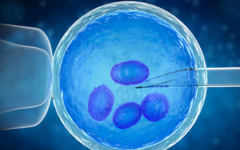 閉經(jīng)了還能做試管嗎