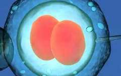 棗莊市婦幼保健院試管嬰兒全部費用