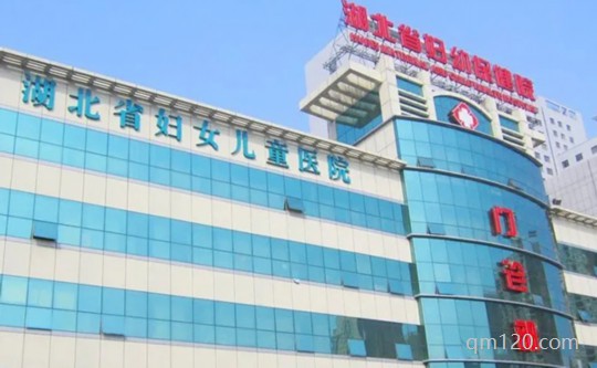 湖北省助孕機(jī)構(gòu)