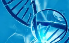 機構(gòu)做試管嬰兒安全嗎