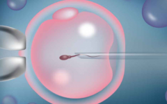 合肥京東光醫(yī)院試管嬰兒費(fèi)用