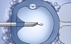 試管一代二代三代有什么區(qū)別