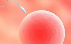 蠶豆病可以做試管嬰兒嗎