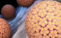 蘭州大學(xué)第一醫(yī)院試管嬰兒多少錢