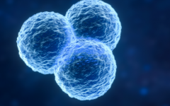 中山市試管助孕中心試管價(jià)格