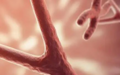 南陽第一試管助孕中心試管嬰兒需要多少費(fèi)用