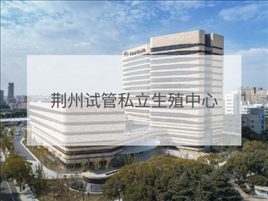 荊州私立試管機(jī)構(gòu)