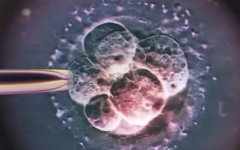 佳木斯婦幼保健院能做試管嬰兒嗎