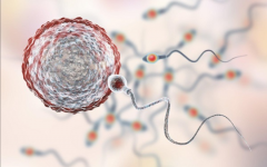 延邊大學(xué)附屬醫(yī)院試管嬰兒多少費用