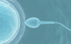 泰國(guó)四代試管嬰兒費(fèi)用