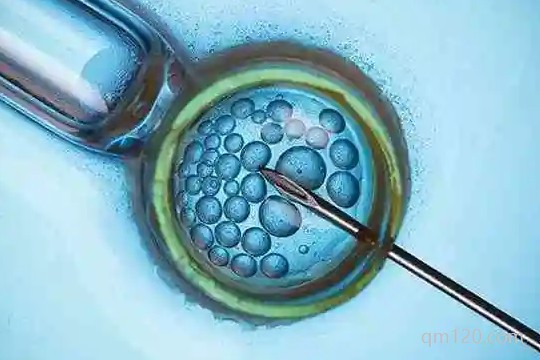 新疆試管嬰兒醫(yī)院排名比較好2024年