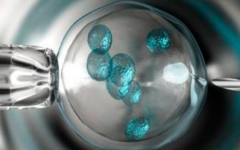 北京地壇醫(yī)院做試管嬰兒大概需要多少錢