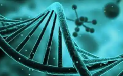 福州市婦幼保健院試管嬰兒費(fèi)用