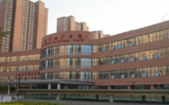 石家莊試管專科醫(yī)院試管嬰兒怎么樣