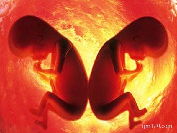 試管多胎對自己體內(nèi)的要求