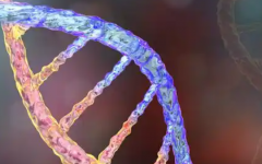 鄭州大學(xué)第二附屬醫(yī)院試管費(fèi)用明細(xì)表分享