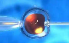 洛杉磯太平洋生殖醫(yī)院助孕費(fèi)用