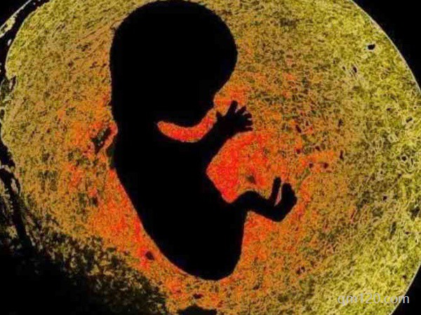 試管四個月好多人胎停