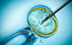 泰國試管需要多久