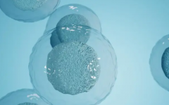 自貢婦幼保健院做試管成功率有多大