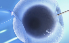 鞍山婦兒醫(yī)院試管費(fèi)用明細(xì)