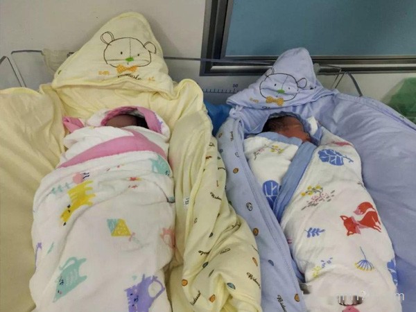 試管多胎一般都是要出血的