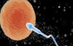 第三代試管能排除什么遺傳病