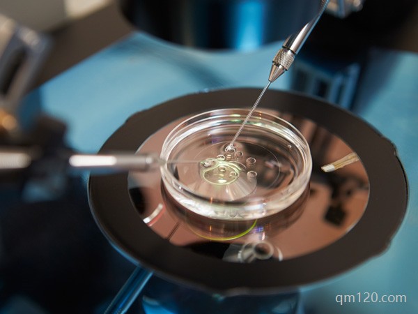 為什么二代試管養(yǎng)囊成功率低