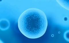 泰國杰特寧生殖醫(yī)院試管成功率