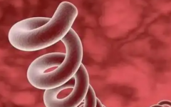 黃石愛康醫(yī)院試管嬰兒的價(jià)格是多少