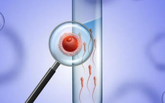 試管一次能成功要多少錢