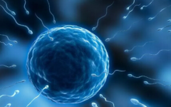 泰國(guó)康民國(guó)際醫(yī)院試管嬰兒費(fèi)用