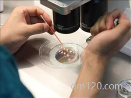 彩虹家庭是什么意思