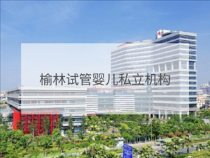 榆林私立試管機(jī)構(gòu)