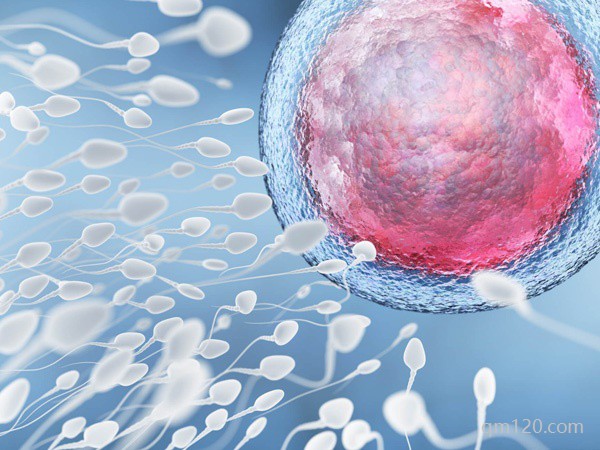 試管二代為什么全部配不成功