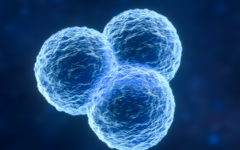 鄭州大學(xué)第一附屬醫(yī)院試管嬰兒費(fèi)用