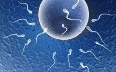 泰國試管嬰兒怎么去