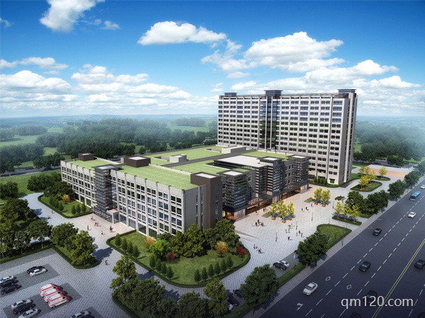 正規(guī)試管醫(yī)院排名